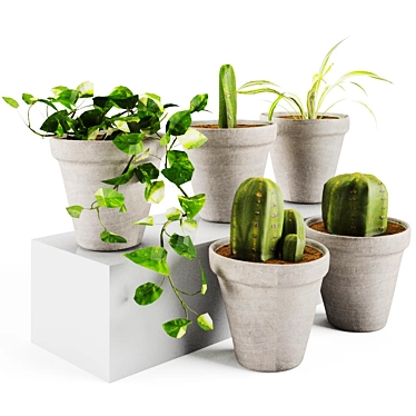 Plant Decor Vases - Indoor & Outdoor Ambience 3D model image 1 