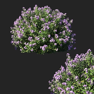 Nerium Oleander Bush: Lush & Lifelike Desk Decor 3D model image 1 