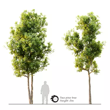 Twin Pine Trees - 5m Height 3D model image 1 