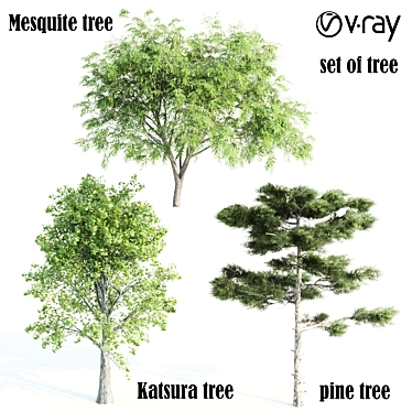 13m Vray Tree Set 3D model image 1 