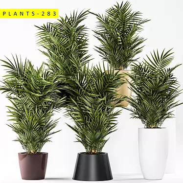 Diverse Plant Collection: 283 Varieties 3D model image 1 