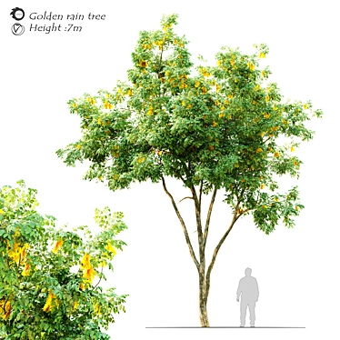 Gilded Canopy: Majestic 7m Golden Rain Tree 3D model image 1 