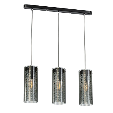 Elegant Chrome Pendant Light 3D model image 1 