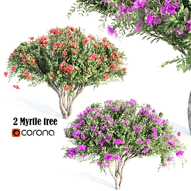 4m Tall Myrtle Trees 3D model image 1 