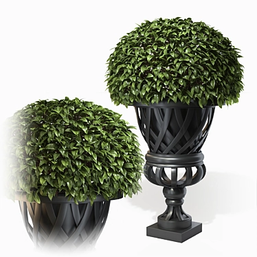 Modern Cypress Gardens Planter 3D model image 1 