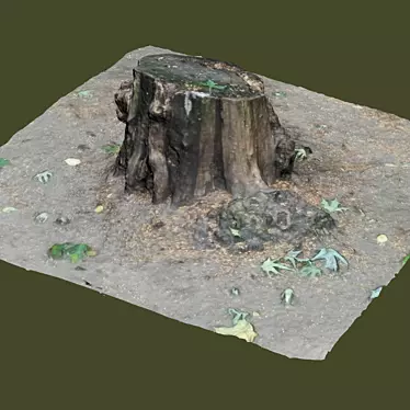 Title: Vintage Yard Stump Photo 3D model image 1 