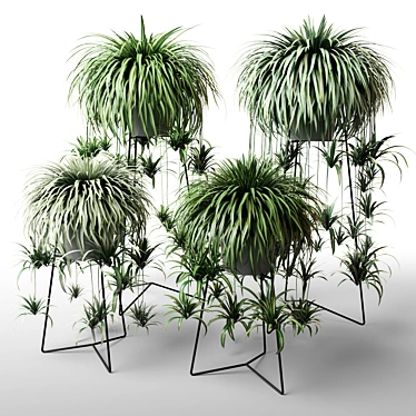 Indoor Greenery in Stylish Planters 3D model image 1 