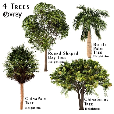 Variety of Tree Set: China Palm, Chinaberry, Round Bay, Bottle Palm 3D model image 1 