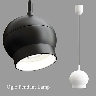 Modern Ogle Pendant Lamp 3D model image 1 