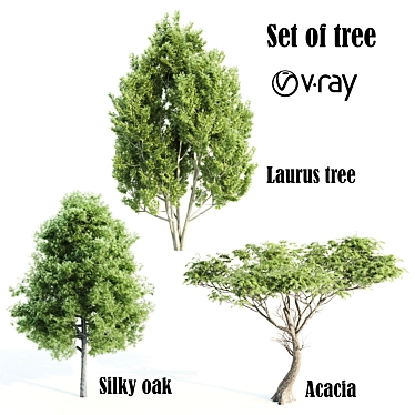 Trio of Majestic V-Ray Trees 3D model image 1 