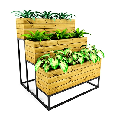 BlossomBox: 3D Model for Plants 3D model image 1 