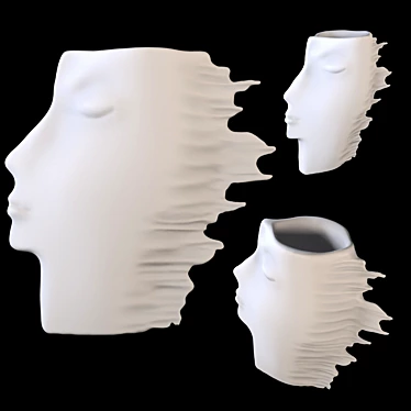 Modern Ceramic Vase Head 3D model image 1 