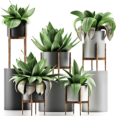 Tropical Plant Oasis 3D model image 1 