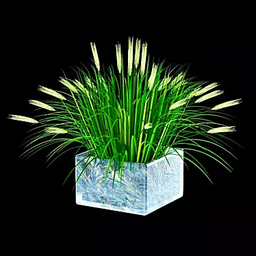 Elegant Ornamental Grass: 362mm x 356mm x 245mm 3D model image 1 