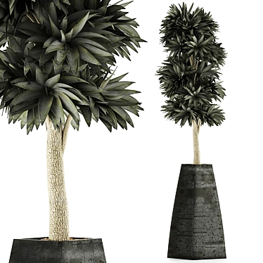 Exotic Plants Collection: Beautiful and Detailed 3D model image 1 