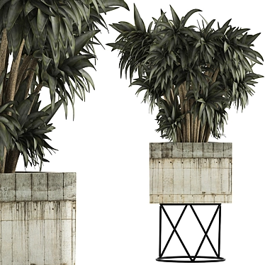 80 Desert Plants Collection: Exotic and Decorative Flora 3D model image 1 