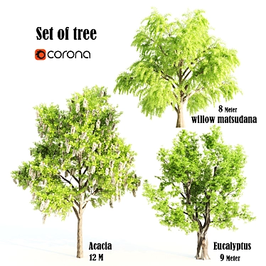 3-in-1 Tree Assortment: Willow, Eucalyptus, Acacia 3D model image 1 