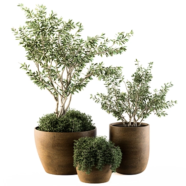 Lush Outdoor Olive Trees - Set 79 3D model image 1 