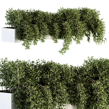 Ivy Box-Set: Outdoor Greenery 3D model image 1 