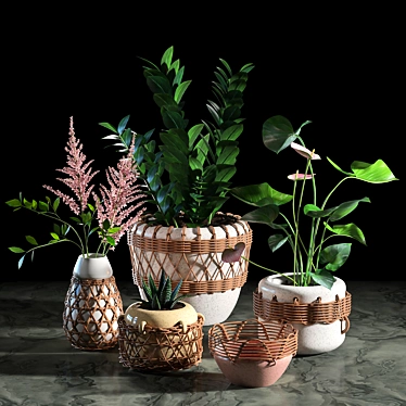 Plant set 08