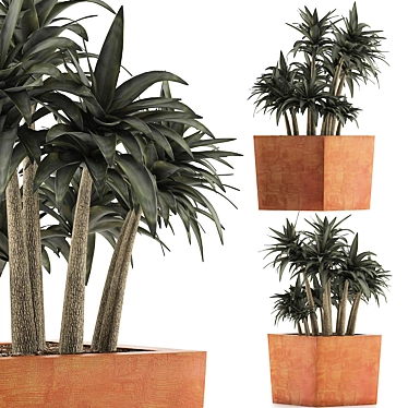 84 Exotic Desert Plants Collection 3D model image 1 