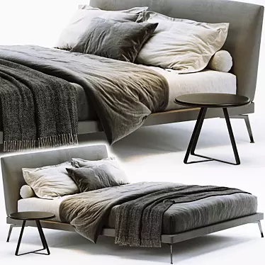 Ultimate Comfort Flex Bed 3D model image 1 