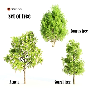 Nature's Trio: Laurus, Acacia & Sorrel Trees 3D model image 1 