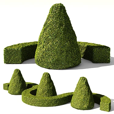 Evergreen Buxus Sempervirens: Stunning Conical & Arc Designs 3D model image 1 