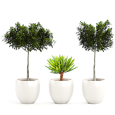  3D Plant Collection: Variety and Quality 3D model image 1 