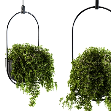 Vibrant Hanging Box Plant Set 3D model image 1 