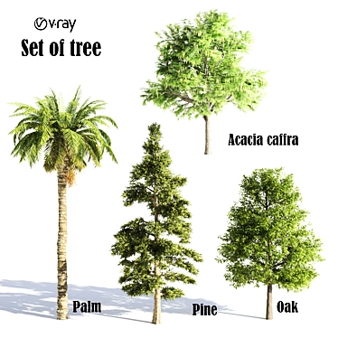 Versatile Collection of 16 Vray Trees 3D model image 1 
