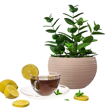 Mint Lemon Tea Decor Set 3D model image 1 