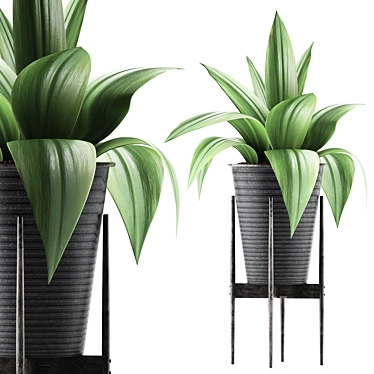 Agave Metal Pot Plant Collection 3D model image 1 