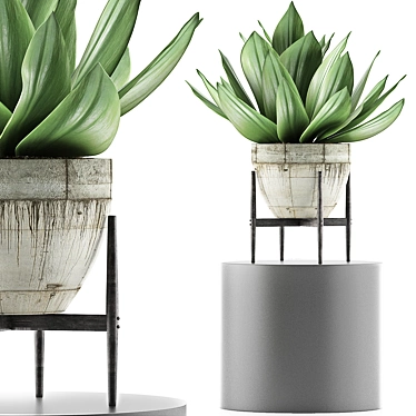 Concrete Planter Agave: Outdoor Plant Collection 3D model image 1 