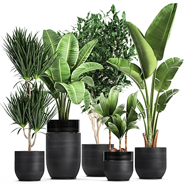 Exotic Plant Collection: Indoor & Outdoor Decor 3D model image 1 