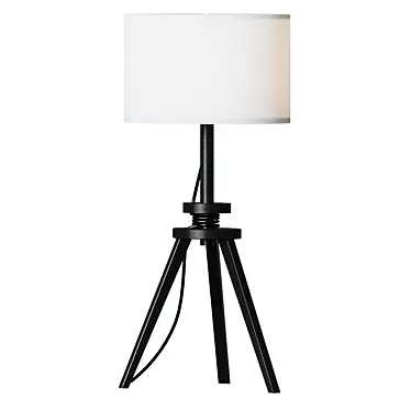 Modern Oak and White Table Lamp 3D model image 1 