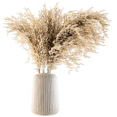 Natural Dried Pampas Grass 3D model image 1 
