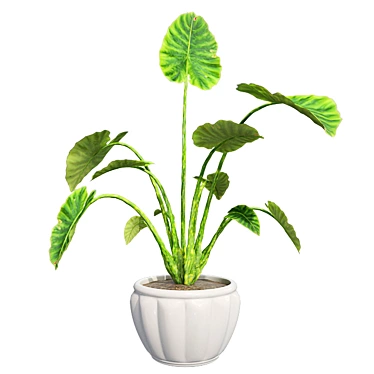 Luscious Elephant Ear Pot 3D model image 1 