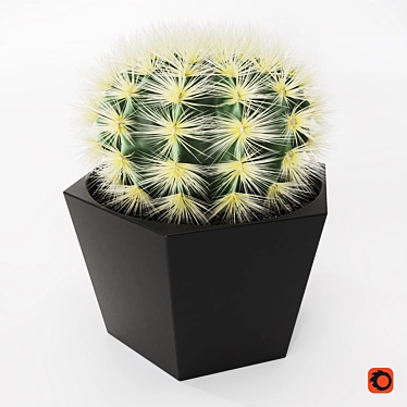 Stylish Cactus Pot - Hair And Fur 3D model image 1 