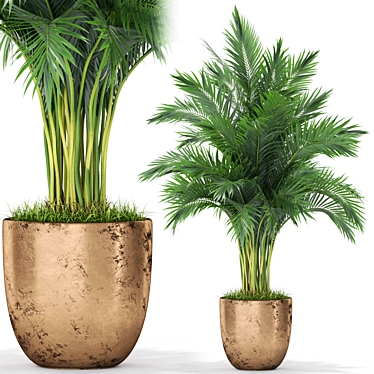 Diverse Plant Assortment for Your Home 3D model image 1 