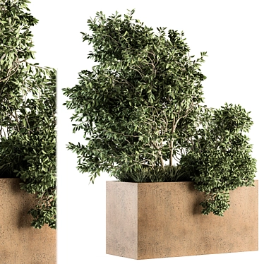 82 Piece Outdoor Olive Plant Set 3D model image 1 