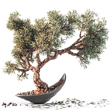 Exquisite Household Olive Plant 3D model image 1 