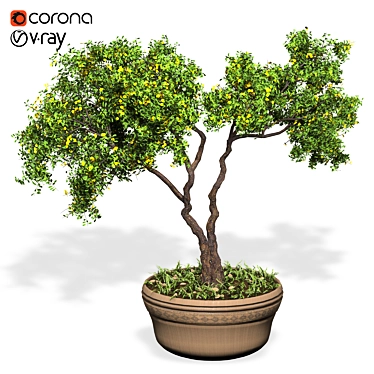 Elegant Ornamental Tree: Perfect Home Decor 3D model image 1 