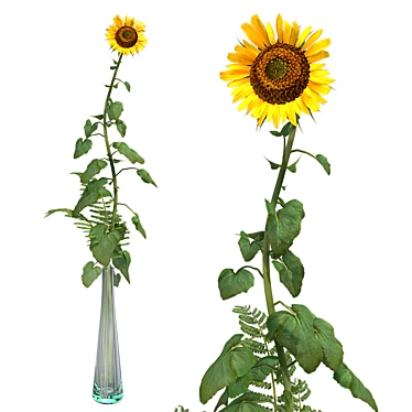 Sunflower in Vase 3D model image 1 