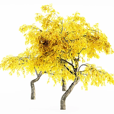 Cherry_Fall 5-Tree Collection 3D model image 1 