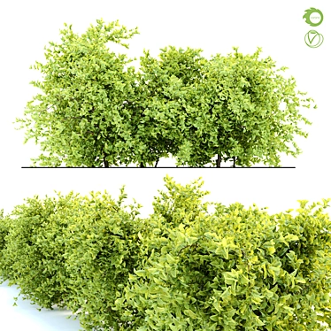  Prolific Bush 2: 1m Height, 443K polys, Separated Branches & Leaves 3D model image 1 