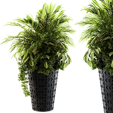 Tropical Elegance: Indoor Palm Set 3D model image 1 