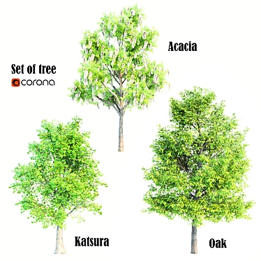 Assorted Tree Set: Acacia, Oak, Katsura 3D model image 1 