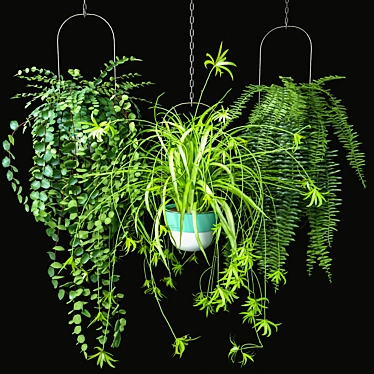 Indoor Hanging Plants Set 3D model image 1 