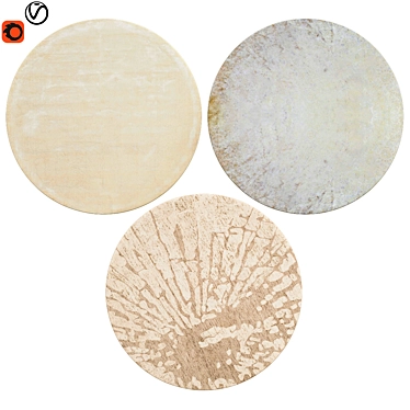 Quality Textured Round Rugs | 17 3D model image 1 